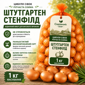 Лук севок  Штутгартер Стенфилд 1кг  323 фото
