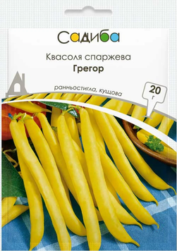 Квасоля спаржева Грегор 20г 2010 фото