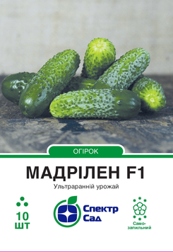 Огірок Мадрілен F1 10шт 694 фото