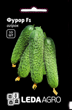 Огірок Фурор F1 10шт 905 фото
