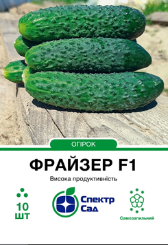 Огірок Фрайзер F1 10шт ф1427 фото