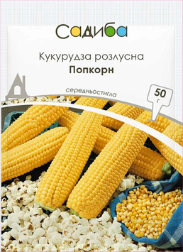 Кукурудза Попкорн 936 фото
