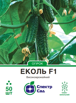 Огірок Еколь F1 50шт 405 фото