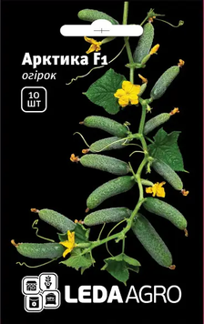 Огурец Арктика F1 10шт 699 фото