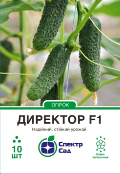 Огірок Директор F1 10шт 408 фото