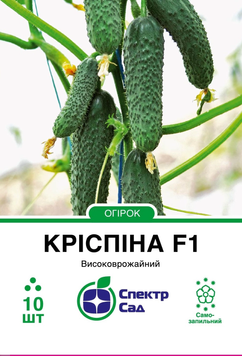 Огірок Кріспіна 10шт 440 фото