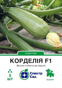 Кабачок Корделія F1 5шт к970 фото
