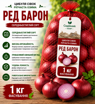 Лук севок Ред Барон 1кг  324 фото