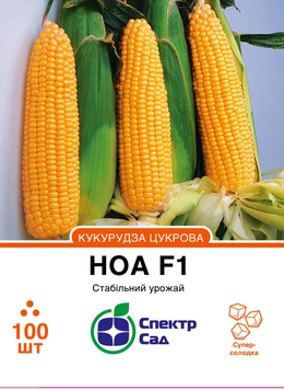 Кукурудза Ноа F1 100шт 359 фото