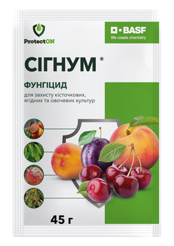 Фунгіцид Сігнум 45 г, ProtectON 1125-45г фото
