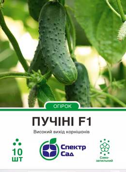 Огірок Пучіні F1 10шт 462 фото