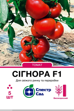 Томат Сигнора F1 5шт 1152 фото