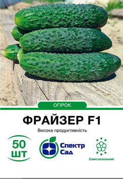 Огірок Фрайзер F1 50шт 1427 фото