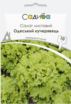 Салат Одеський кучерявець 10г о755 фото
