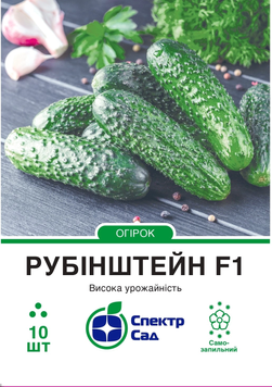 Огірок Рубінштейн F1 10шт 486 фото