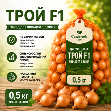 Цибуля сівок Трой F1 0,5 кг  318-05 фото