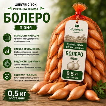 Цибуля сівок Болеро (Стурон) 0,5 кг  319-500 фото