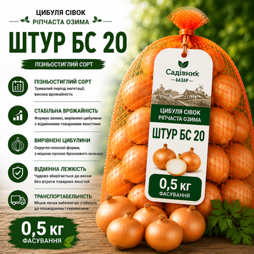 Цибуля сівок Штур БС 0,5 кг  321-500 фото