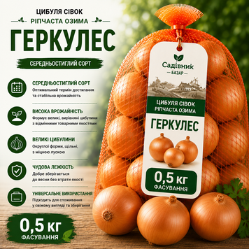 Цибуля сівок Геркулес 0,5 кг  322-500 фото
