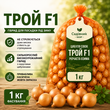 Цибуля сівок Трой F1 1кг  318 фото