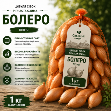 Лук севок Болеро (Стурон) 1кг  319 фото
