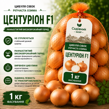 Цибуля сівок Центуріон F1 1кг  320 фото