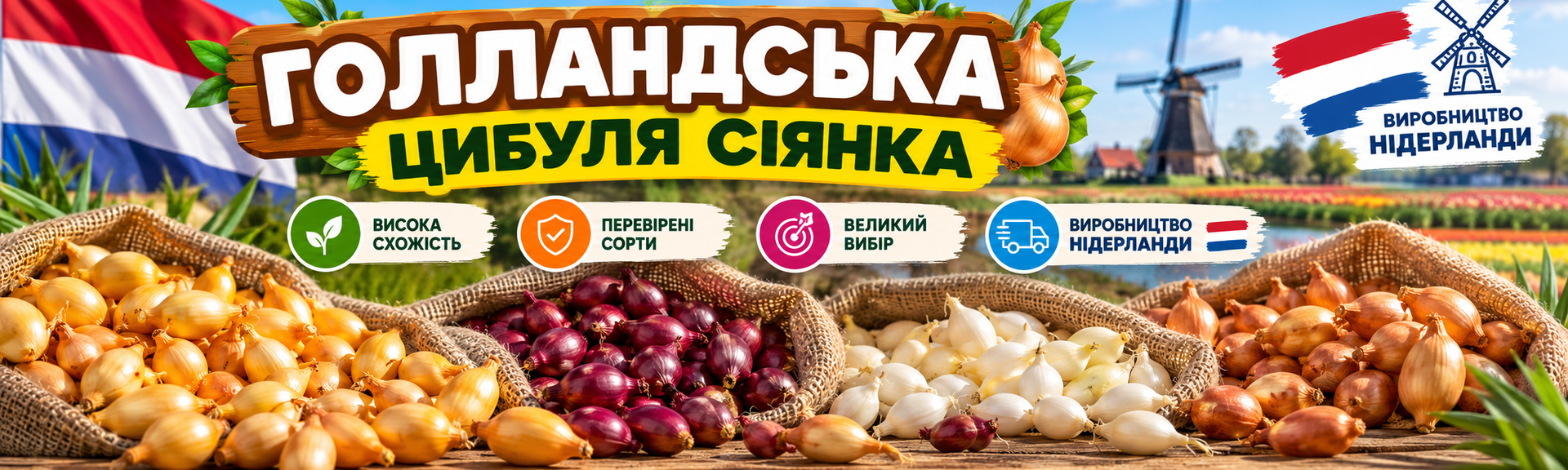 Цибуля