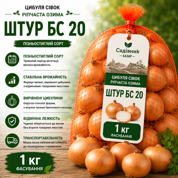 Лук севок Штур БС 1кг  321 фото