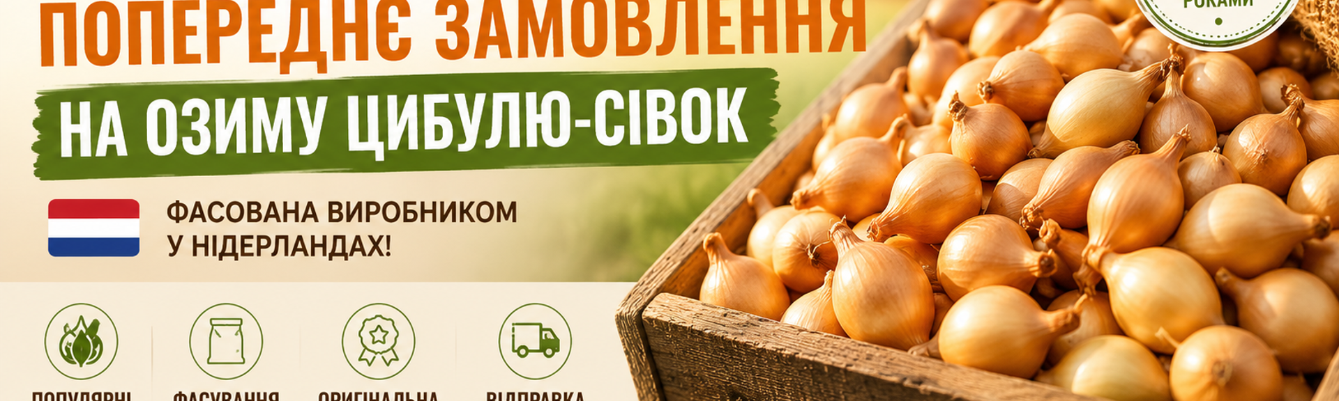 цибуля