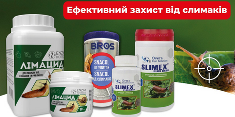 слимаки