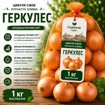 Цибуля сівок Геркулес 1кг  322 фото