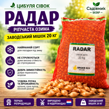 Цибуля сівок Радар 20 кг  317-20 фото