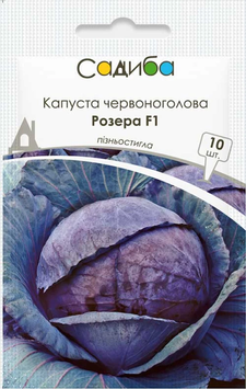 Капуста червоноголова Розера F1 10шт 2009 фото